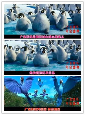 廣東瑞馬壁掛爐2014年度答謝盛典 ——萌萌噠“小戰馬”日記6