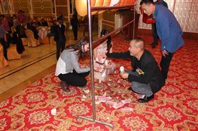 廣東瑞馬壁掛爐2014年度答謝盛典                        ——萌萌噠“小戰馬”日記19